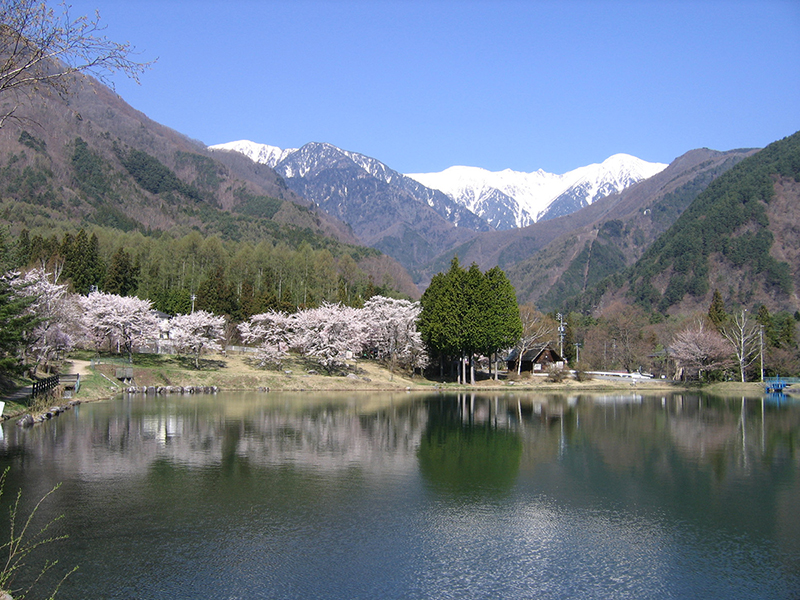 4月下旬 駒池的櫻花和雪景的千疊敷