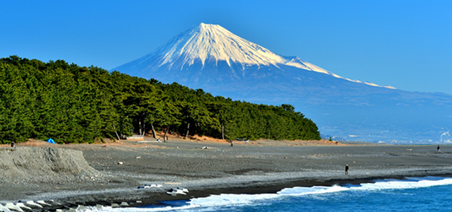 從三保松原欣賞的富士山
